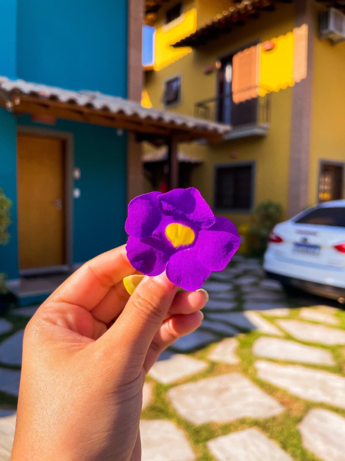Mão segurando uma flor roxa com os chalés azul e amarelo ao fundo