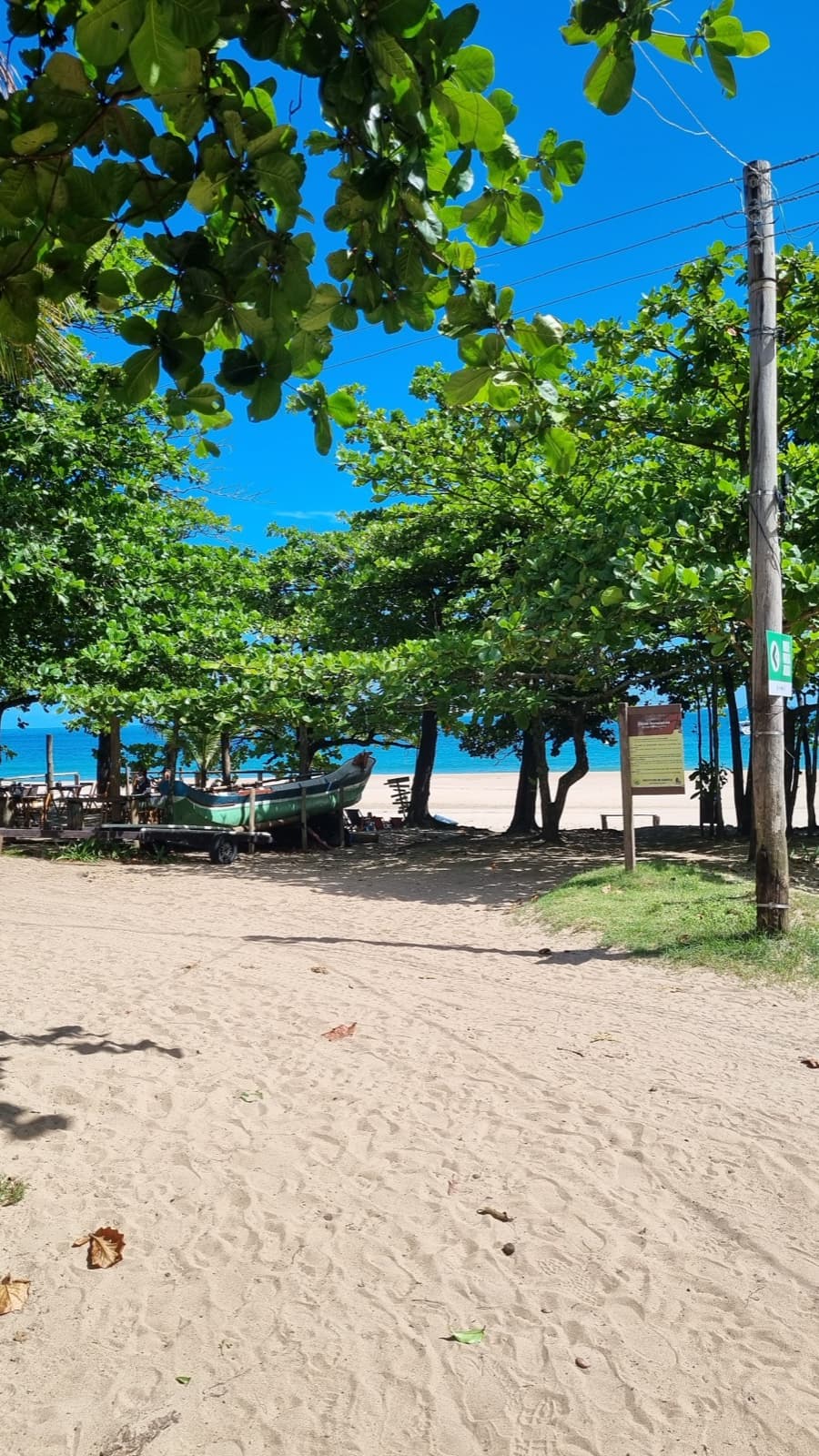 Praia de areia clara com árvores dando sombra e um barco de pesca