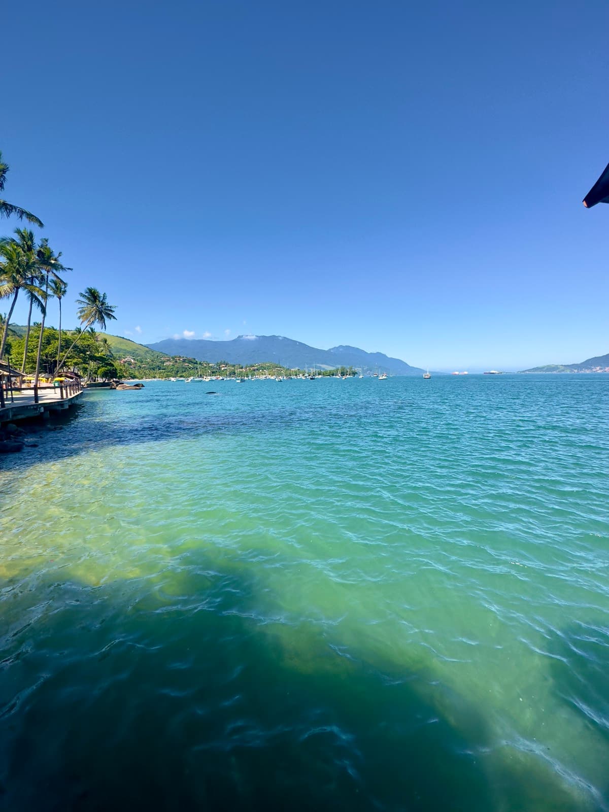 Litoral de Ilhabela com água verde-turquesa, coqueiros e serra ao fundo